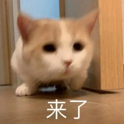  考研因为院校不好,担心复试受歧视听听王一珉老师是怎么说的