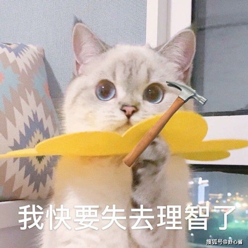  王千源鹿晗新剧有惊喜第一集主角就团灭会玩