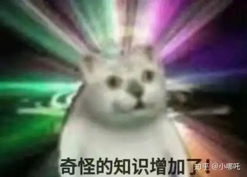  女生经历痔疮手术是怎样一种体验