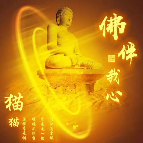 独一无二的佛字微信头像