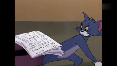  猫和老鼠汤姆看到身后的报纸,有人在找一起旅行的猫咪