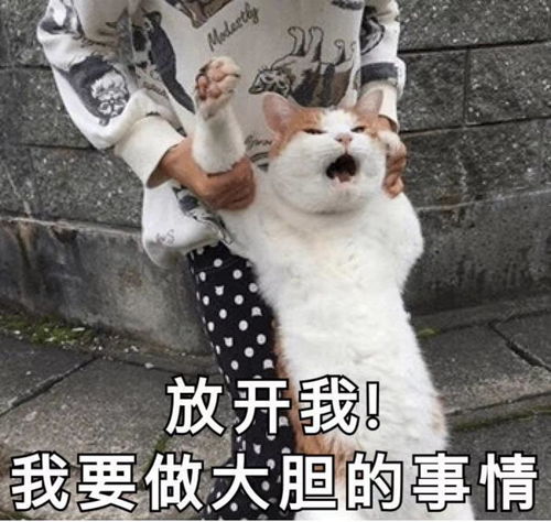  开心一刻笑话还记得上小学的时候,暑假和表哥一起去游泳馆游泳