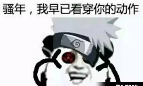  流窜大盗被抓仙游人,你丢的有可能是这两个人偷的