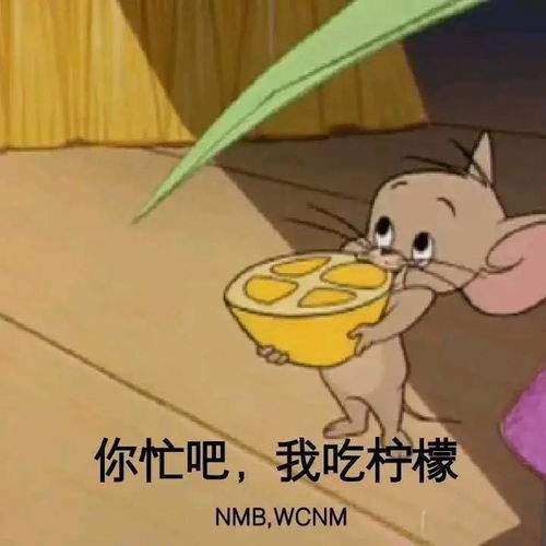  e句话看天下谢娜怀孕了,所以快本谁来接棒主持呢