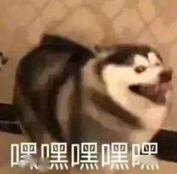  嘿分界洲岛旅行盲盒今日上线,带你打开不一样的旅行体验