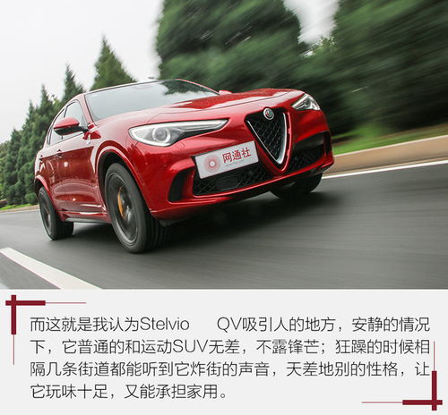  suv除了urus,还见过谁01破4秒测stelvio四叶