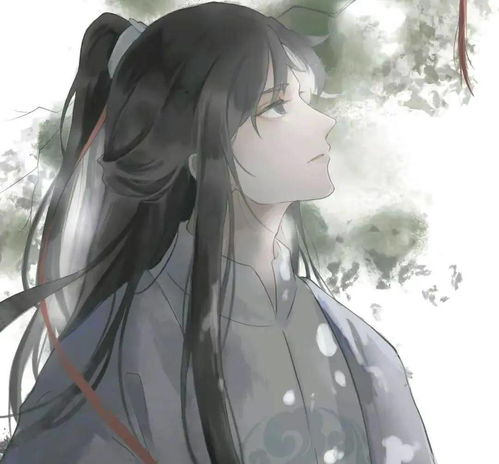  雪中悍刀行人猫韩生宣与轩辕敬城一战,谁会胜