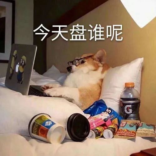  微信又搞事情社死升级版拍一拍上线就问你炸了没