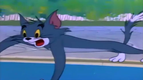  猫和老鼠大狗看见汤姆猫就一肚子火,必须给它点颜色看看