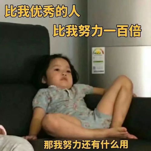 权律二哼表情包杨馥宇