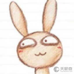  佛山市顺德区乐从镇神出兔没广告设计部