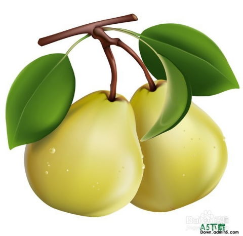  适合冬季吃的几种水果