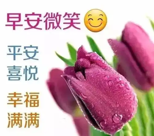  生活中,多一点感激,就会少一些怨恨多一点理解,就会少一些误会