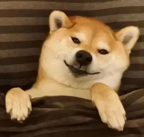  想感受一下绝望吗戳我