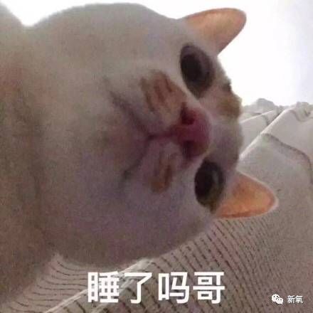  中国第一代名模,20年后依旧美得让人心醉