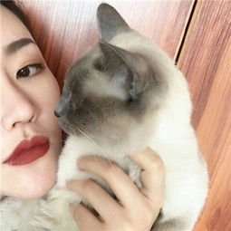  微信头像女生头像抱宠物女神范经不起凶想被宠成三岁小朋友