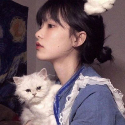  可爱的猫猫和你