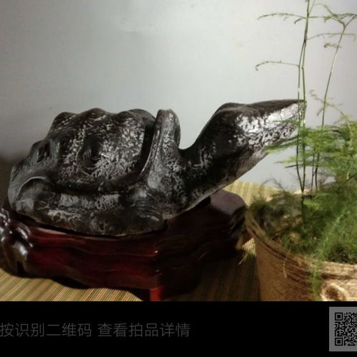  灵璧石,象形石,乌龟石,水景石灵璧石摆件招财石,镇宅石原石工艺石