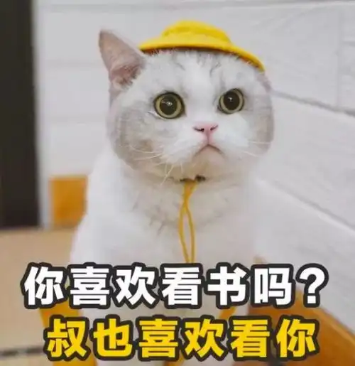一只白猫旁边一个问号的