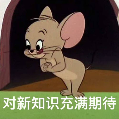  先进先出算法结构与算法02队列和栈结构