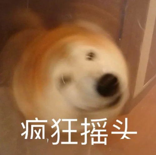  干就完了