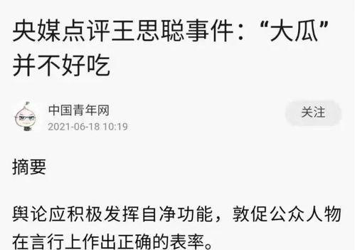  王思聪追求网红涉嫌恐吓官媒点评行为太危险