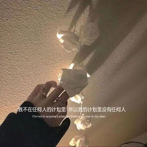 头像风景简约干净微信朋