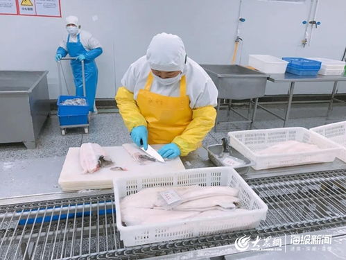  复工复产马力足实地探访开发区佳苑食品
