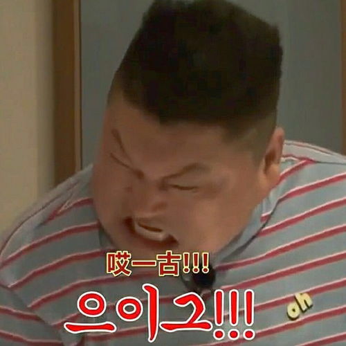 早上好,大家有没有综艺里的表情包