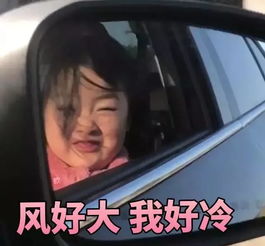  斗图呀你们知道这几个总出现在表情包的小可爱是谁吗