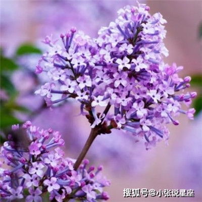 头像大全500张女生最爱