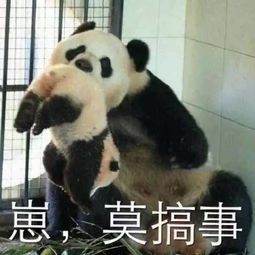  笑出腹肌老师竟然说过这么奇葩的话