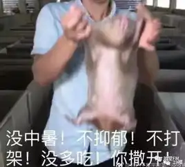  你好像中暑了来自华农兄弟的满满恶意...