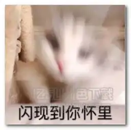  猫咪要抱抱表情图片猫咪要抱抱表情包高清版jz5u绿色下载站
