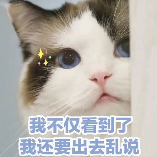  王鸥在天天向上里居然这样