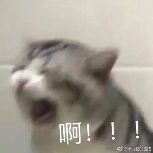 谢谢小可爱表情图片