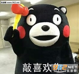  314情人节表白专用熊本熊表情包下载白色情人节熊本熊表情包系列下载乐游网游戏下载