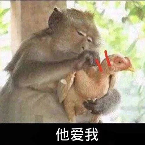  拔毛系列表情包