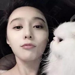  刘亦菲发布会被抓拍,媒体镜头的女星难以形容,杨幂分分钟变大妈,明星缺陷暴露无疑