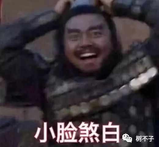  辛芷蕾会变成第二个赵丽颖吗