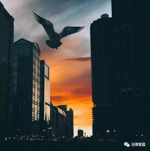  为购房假离婚,法律风险有点大