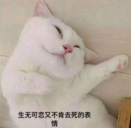  华中科技大学为什么那么晚放假