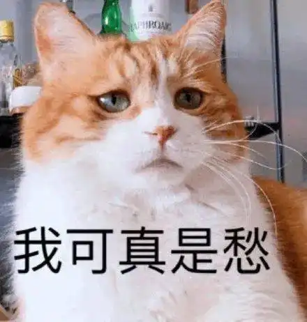  猫咪绝对有坏心思第103期喵表情