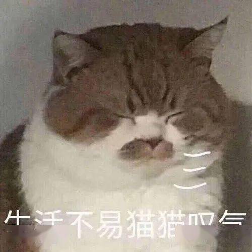 抖腿的表情包自习室