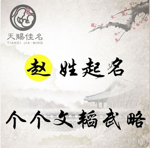  赵姓起名赤胆忠心,器宇不凡的男孩女孩名字,个个文韬武略