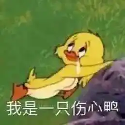  每日表情包丨快乐时间到