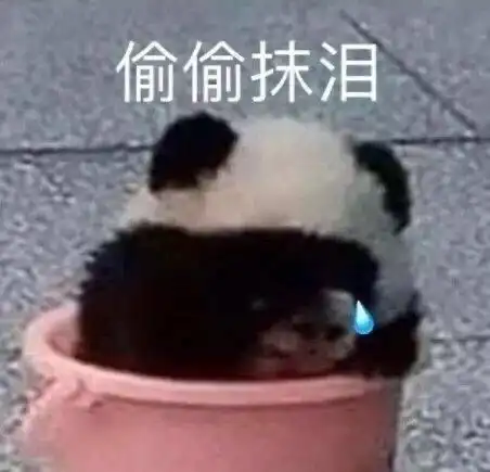  有无河南姐妹,暗恋对象叫我妞儿是什么意思啊