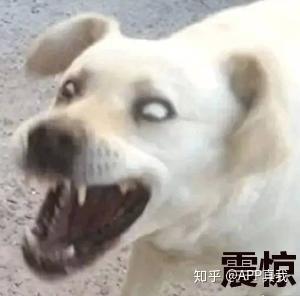  宁静大手笔赠送32万面霜,娇兰竟成最大赢家奢华黑兰面霜真能永葆青春