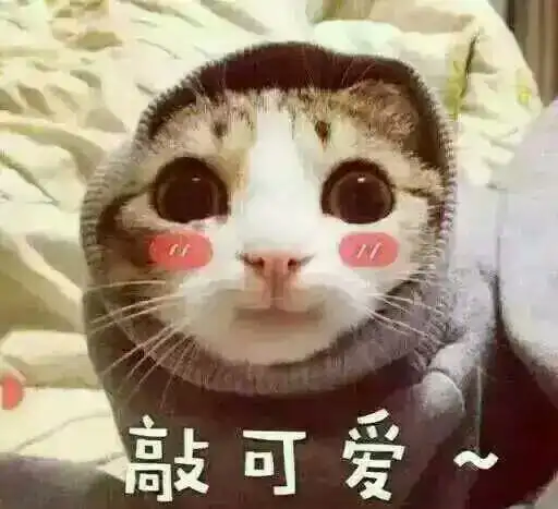 谢谢表情包可爱萌图教师