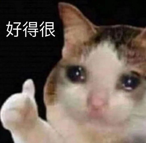  拼多多那个9.9加速提现红包有用吗